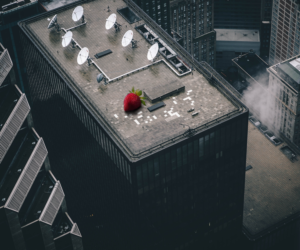 Photoshop Design by Higher Ground Studio