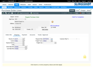 Web Design by IShelest for Slingshot Software | Design: #18296215