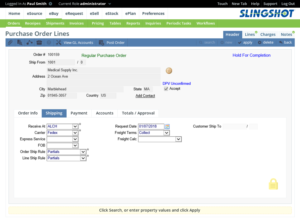 Web Design by IShelest for Slingshot Software | Design: #18296217