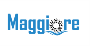 Logo Design by Himanshi10 for this project | Design #18116083