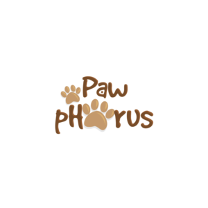 Logo Design by CreativeFlows 2 for this project | Design: #18109591