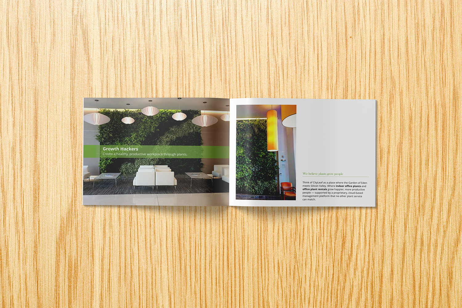 Catalogue Design by barinix for Millennial Venturing | Design #18140074