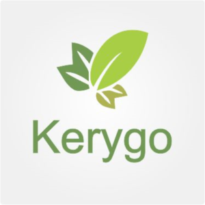 Logo Design by AllanJordann