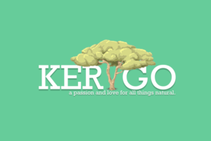 Logo Design by Braden M