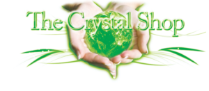 Logo Design by Bia Artist
