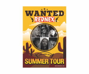 Gig poster for famous pop band! | Diseño de Flyer por Cut and Glue