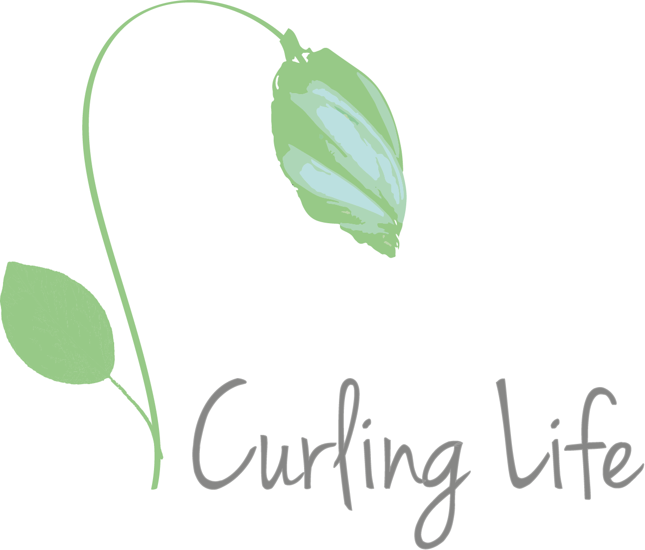 Logo Design by ToniBavin for this project | Design #2817111