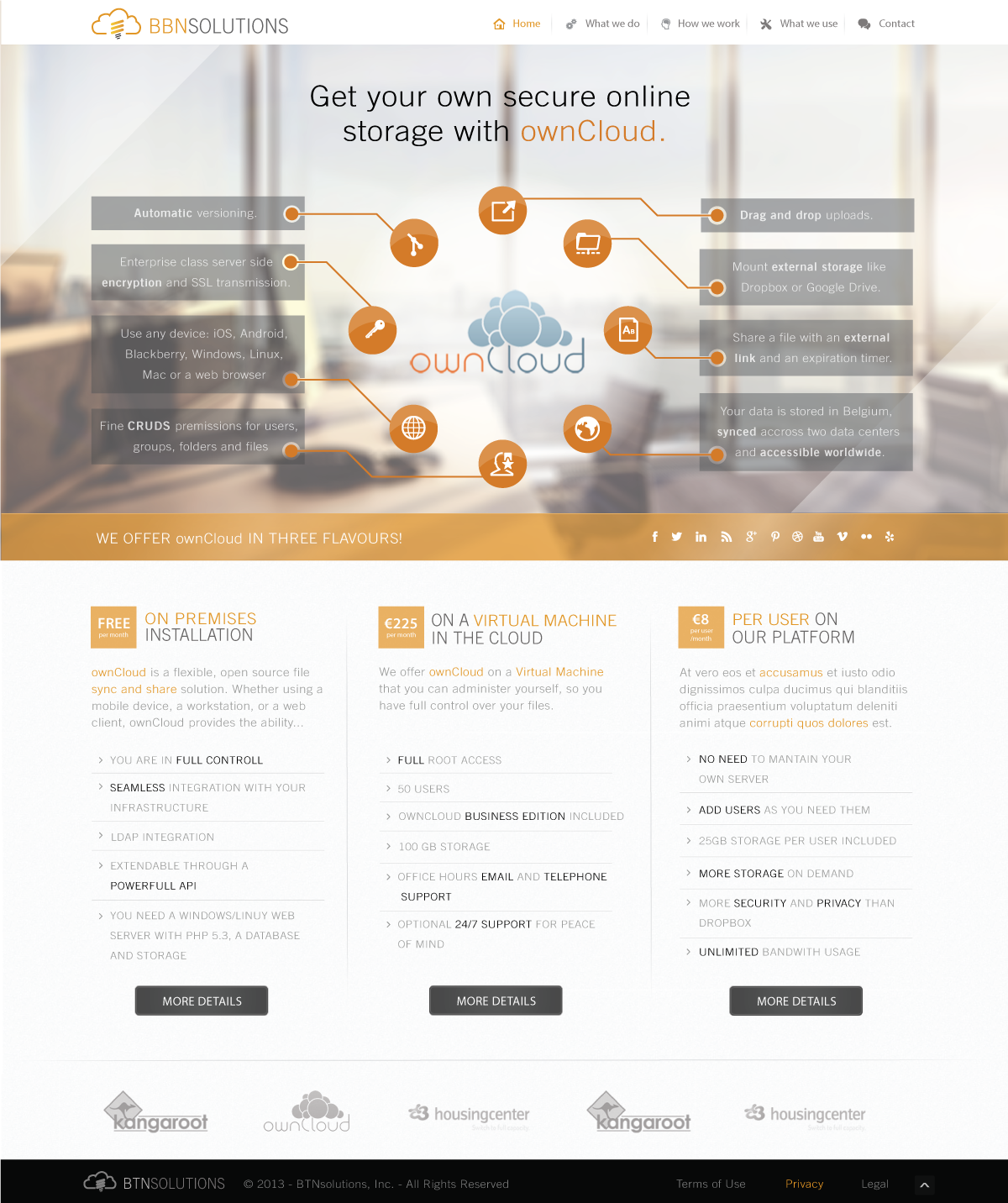 Diseño Web por kresimir.sencaj para BBN Solutions | Diseño: #2845261