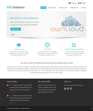 Diseño Web por pb para BBN Solutions | Diseño: #2795392