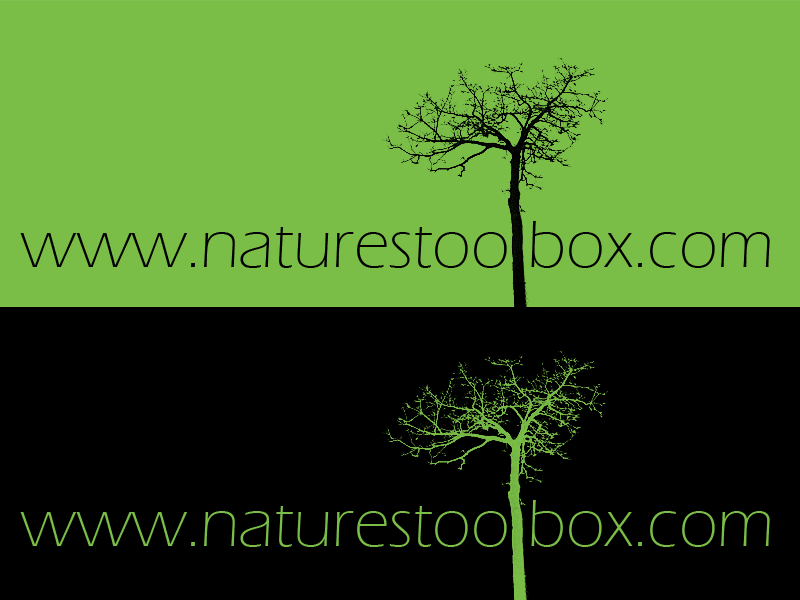 Logo-Design von Shadow476 für Nature's Toolbox | Design #2788396