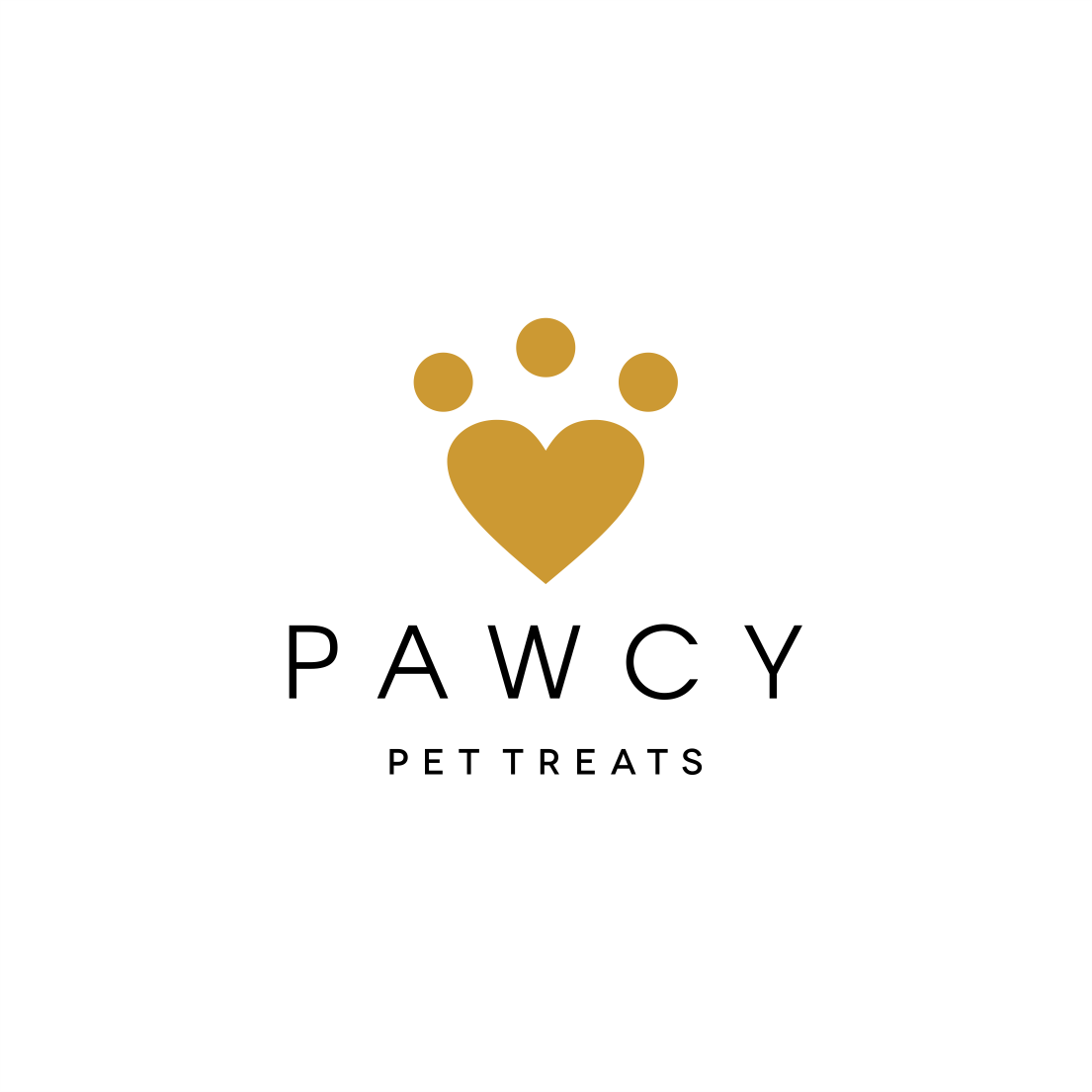 Logo Design by kaschenko.oleg for Cesar Quijada Photography | Design #18215242