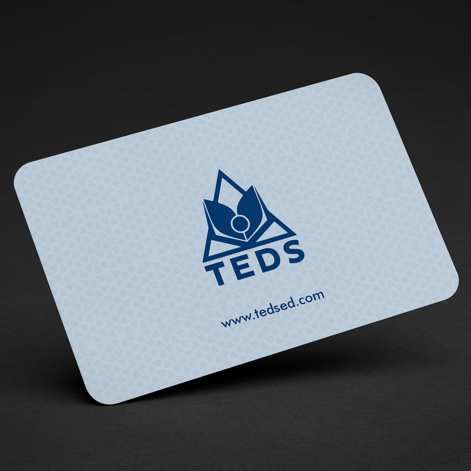 Business Card Design by youngartist545 for Triangle Educational Developmental Services | Design #18208131