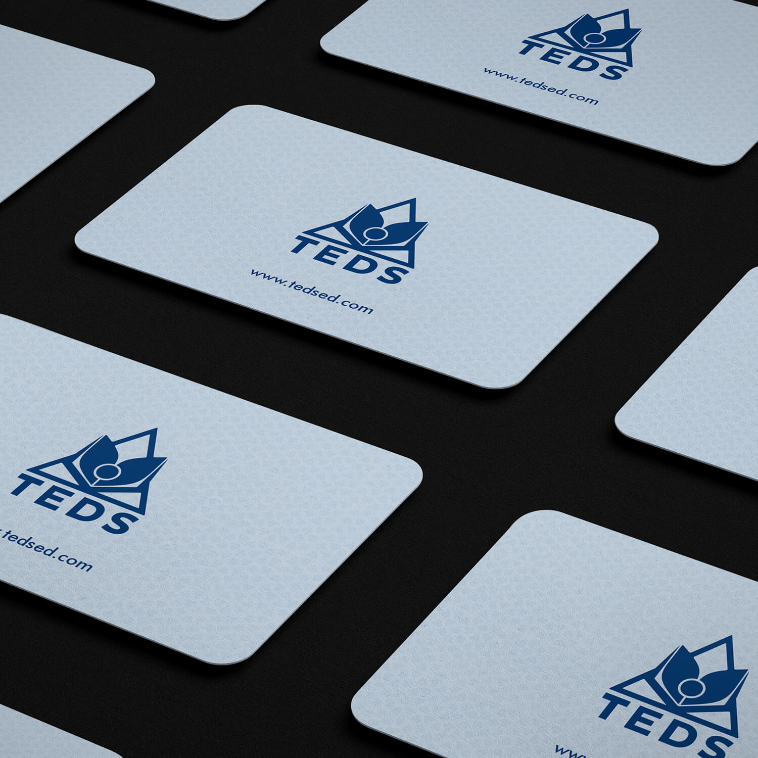 Business Card Design by youngartist545 for Triangle Educational Developmental Services | Design #18208133