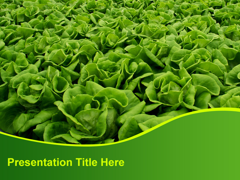 PowerPoint Design by Best Design Hub for PodPonics LLC | Design #2941262