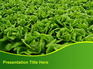 PowerPoint Design by Best Design Hub for PodPonics LLC | Design: #2941262
