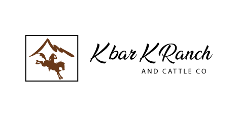 Logo Design by Himanshi10 for this project | Design #18144983