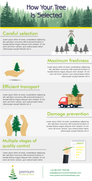 Premium Christmas Trees needs words putting into pictures! | Graphic Design by HamzaMalik