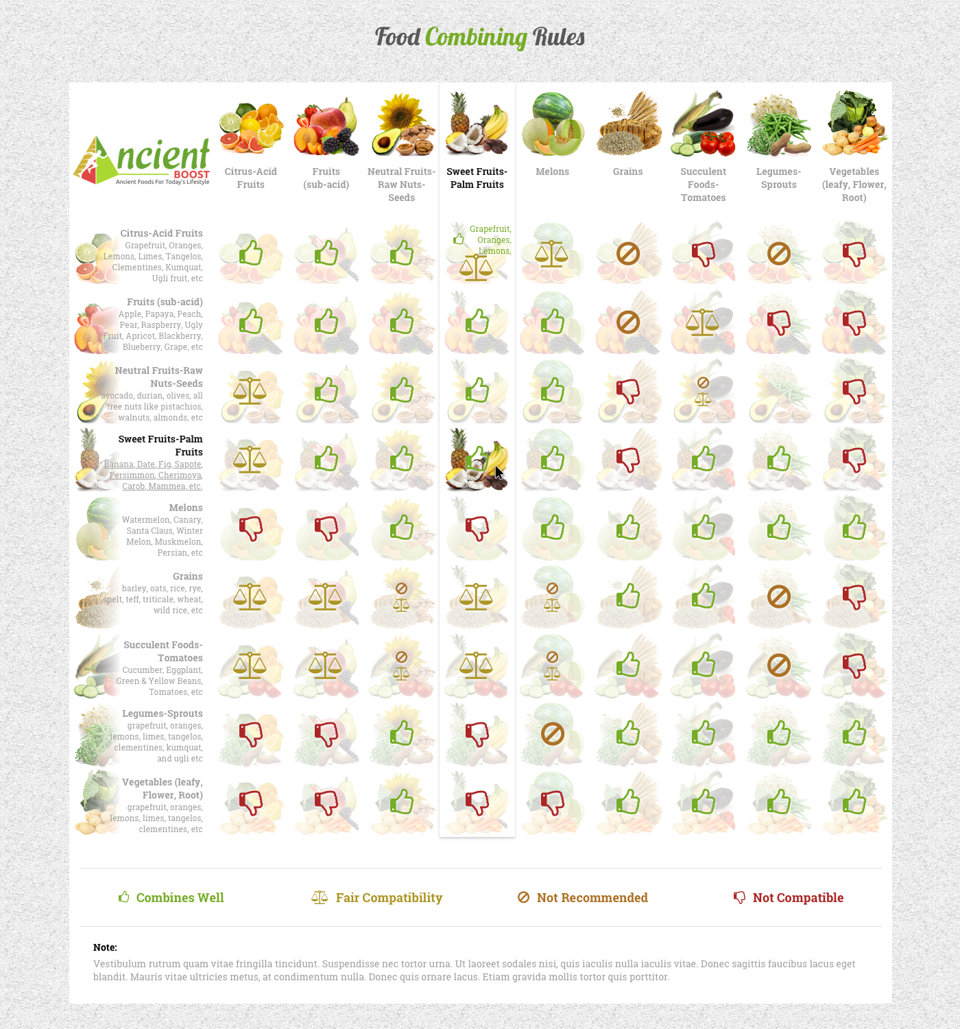 Web Design by Orhon.ao for Visions of Health | Design #18144151