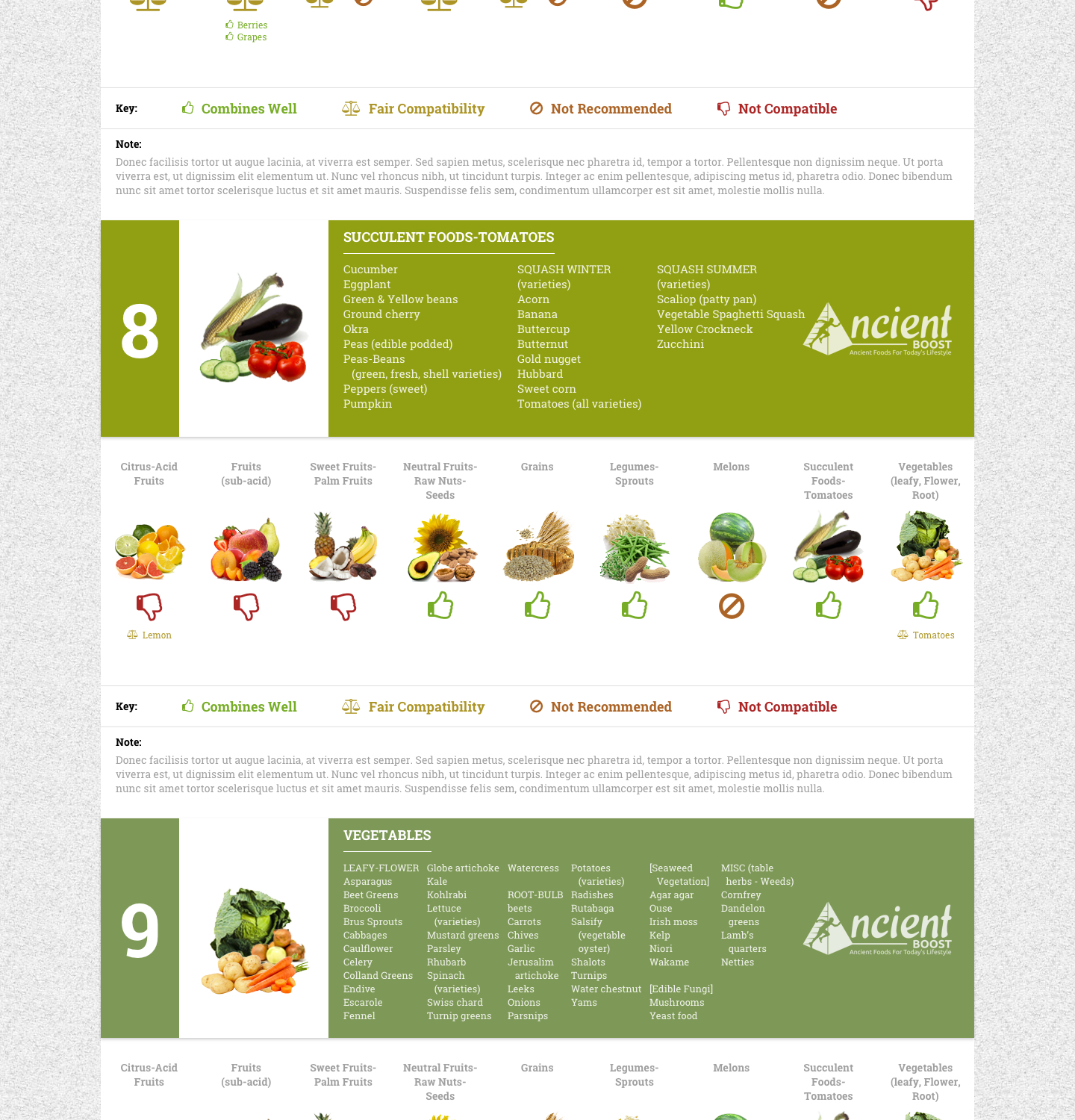 Web Design by Orhon.ao for Visions of Health | Design #18194651