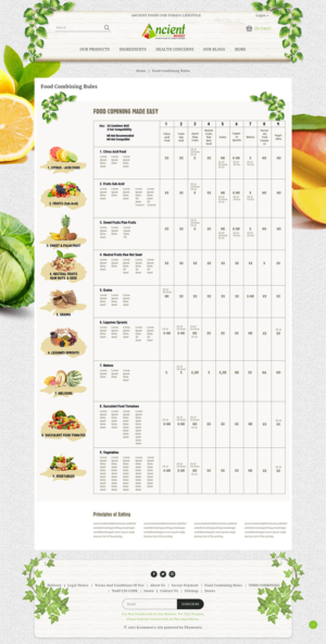 Web Design by PiXthemes for Visions of Health | Design: #18185167