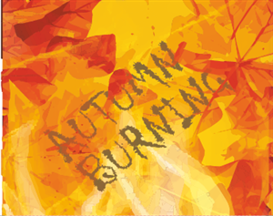 CD Cover Design by Ken's Designs