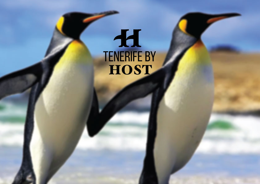 Logo Design by dukedesign for this project | Design #18164743