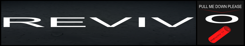 Logo Design by aurelian stanica for SmashBrand | Design #2813907