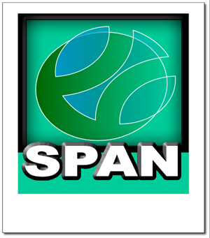Logo Design by golden design star