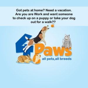 Logo Design by CreativeFlows 2 for Four paws | Design: #18200909