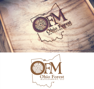 Logo Design by Impressive Solutions for this project | Design: #18170666