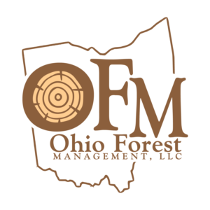 Logo Design by Impressive Solutions for this project | Design: #18523941