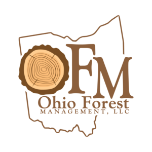 Logo Design by Impressive Solutions for this project | Design: #19055221
