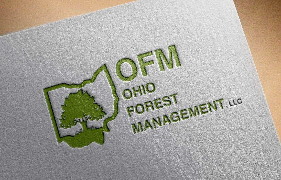 Logo Design by aspiremedia for this project | Design #18195200