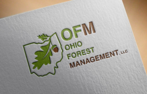 Logo Design by aspiremedia