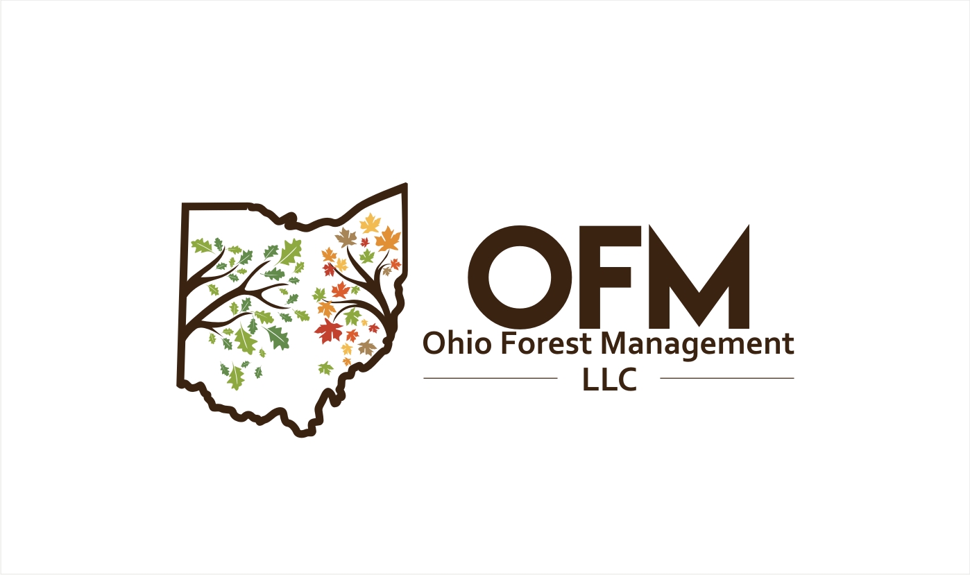 Logo Design by Soul Light for this project | Design #18169450