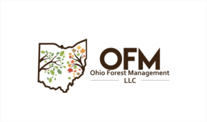 Logo Design by Soul Light for this project | Design: #18169450