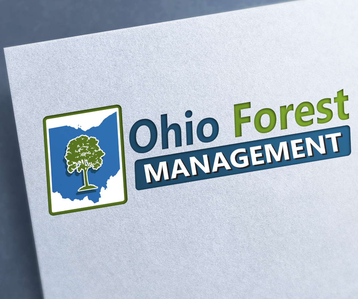 Diseño de Logo por edwinnegz1 para este proyecto | Diseño #18165561