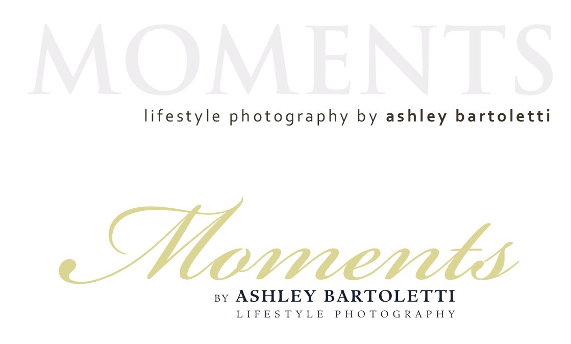 Logo Design by 3054462597 for  Ashley Bartoletti Photography | Design #47654