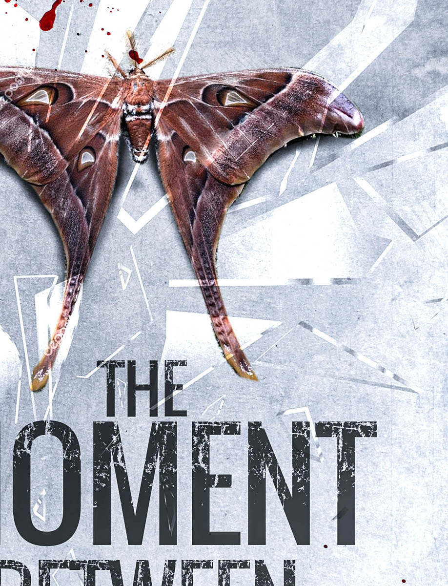 Book Cover Design by jshan for --None-- | Design #18404922