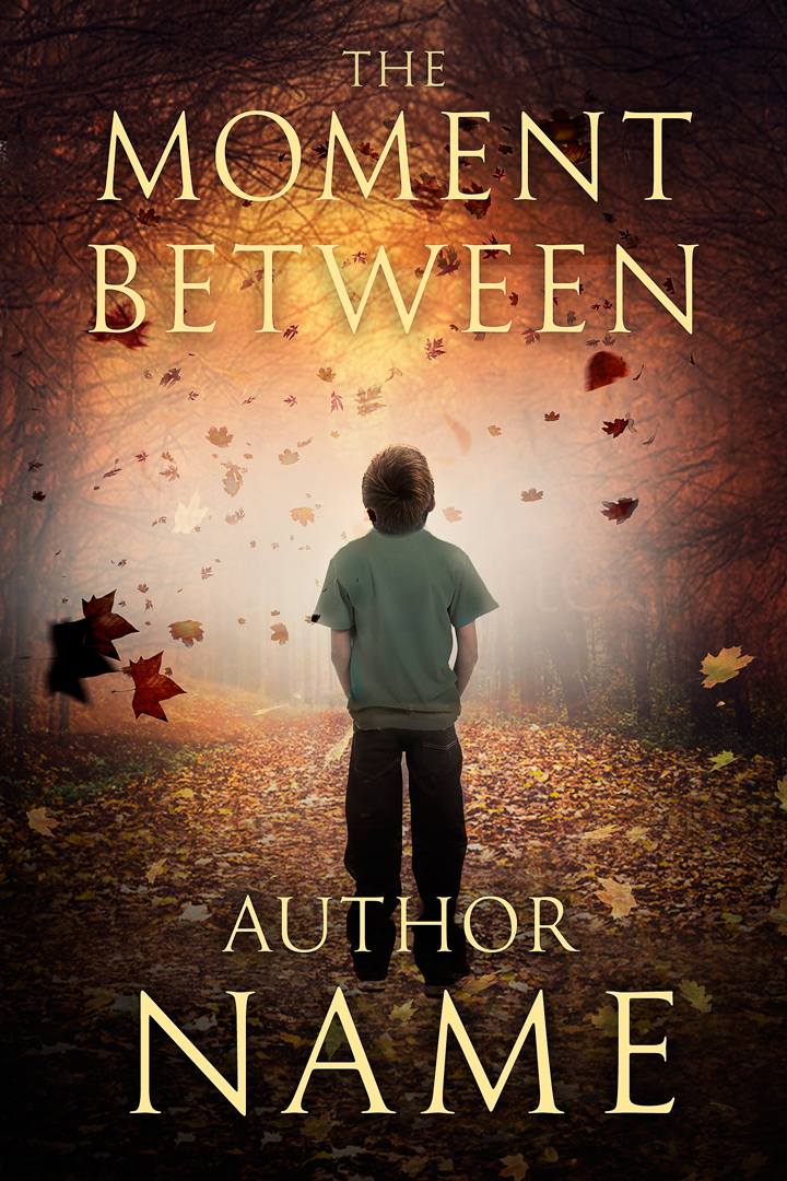 Book Cover Design by dienel96 for --None-- | Design #18367296