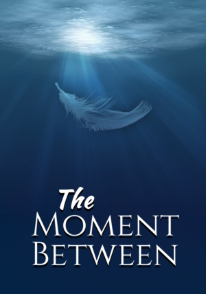Book Cover Design by sormaz.tanja for --None-- | Design: #18182613