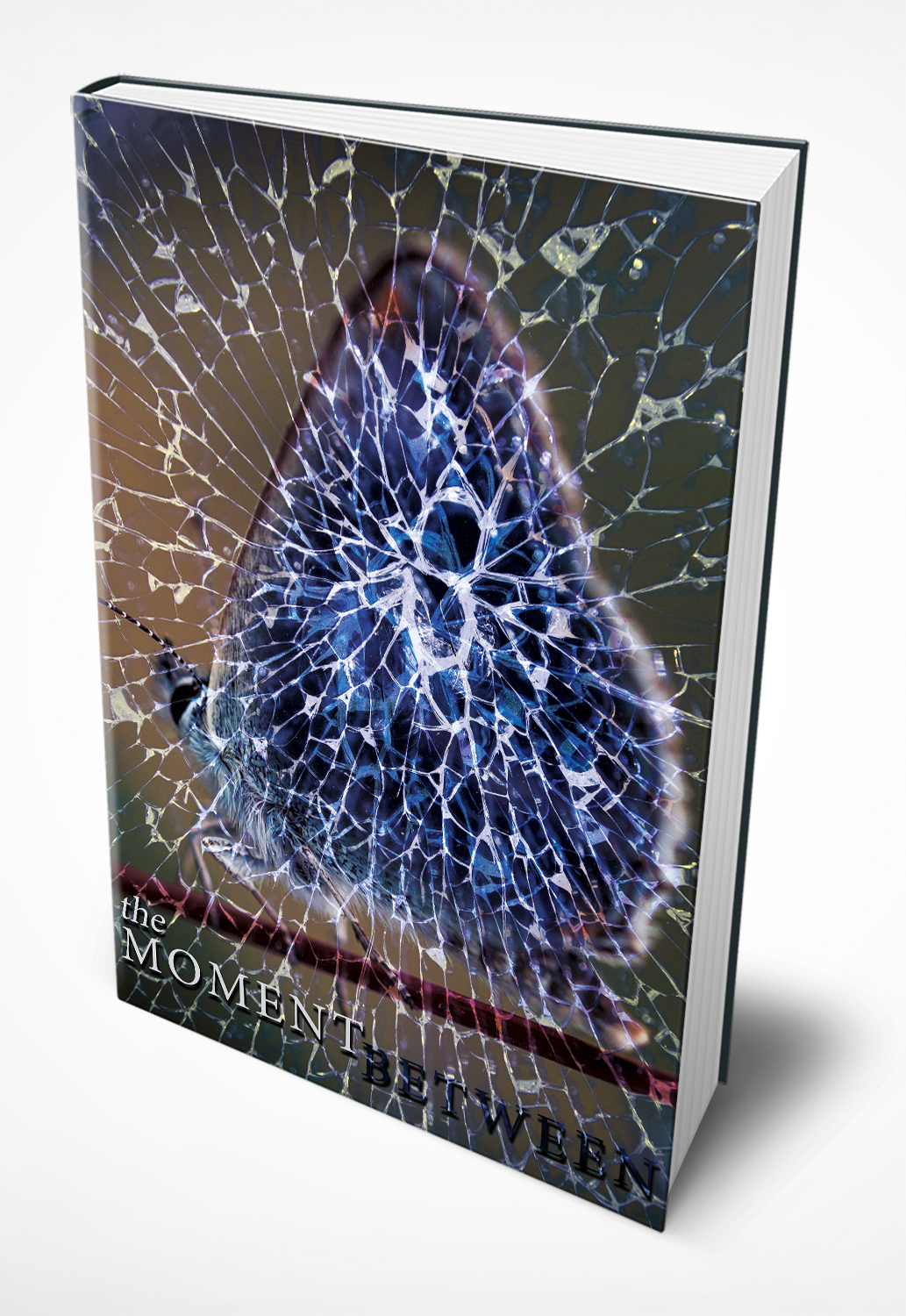 Buchumschlag Design von Mama Guska für --None-- | Design #18204385