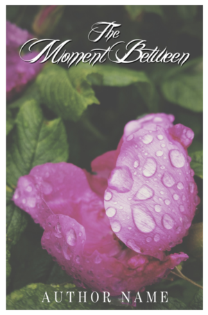 Book Cover Design by designersaumya 2 for --None-- | Design: #18311975