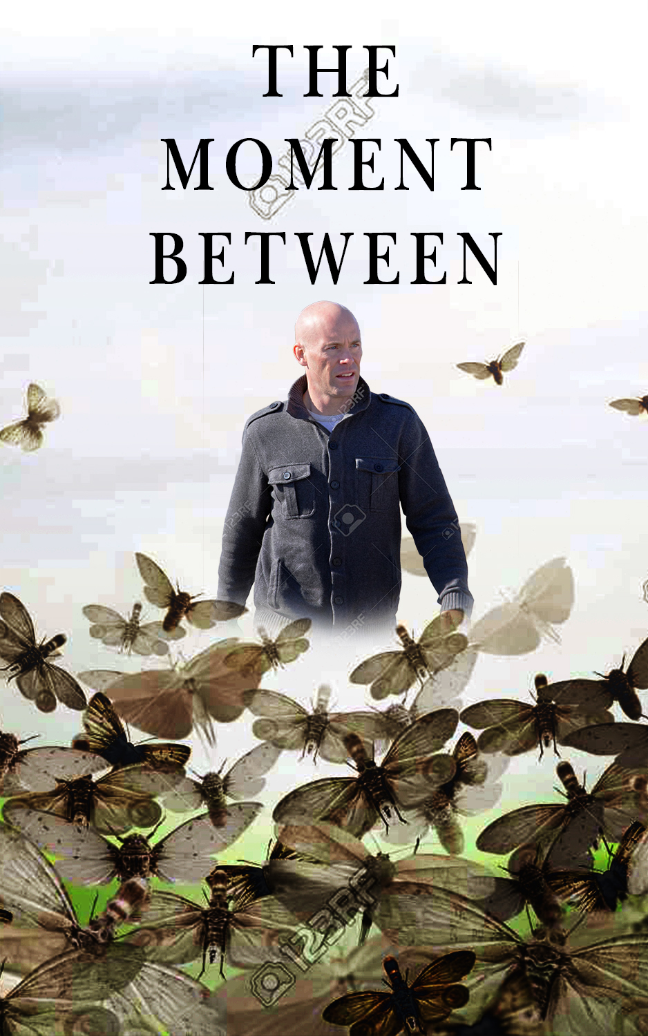 Book Cover Design by Roka66 for --None-- | Design #18362521