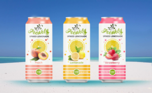 Can design for new all natural low calorie spiked lemonade | Packaging Design by Nuepine Designs