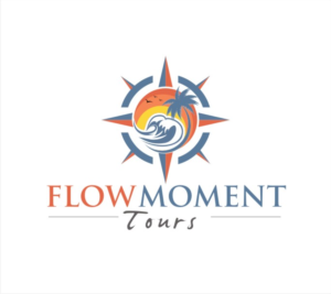Design de Logo par nutu pour flow moment tours | Design : #18268518