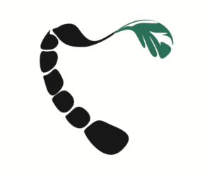 Logo Design by LOno for this project | Design: #18226686