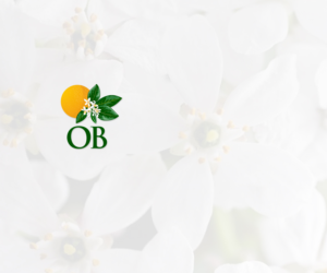 Logo Design by logodentity for this project | Design: #18190080