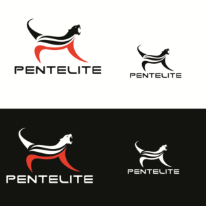 Logo Design by emptyboxgraphics for Pentelite | Design #18341153