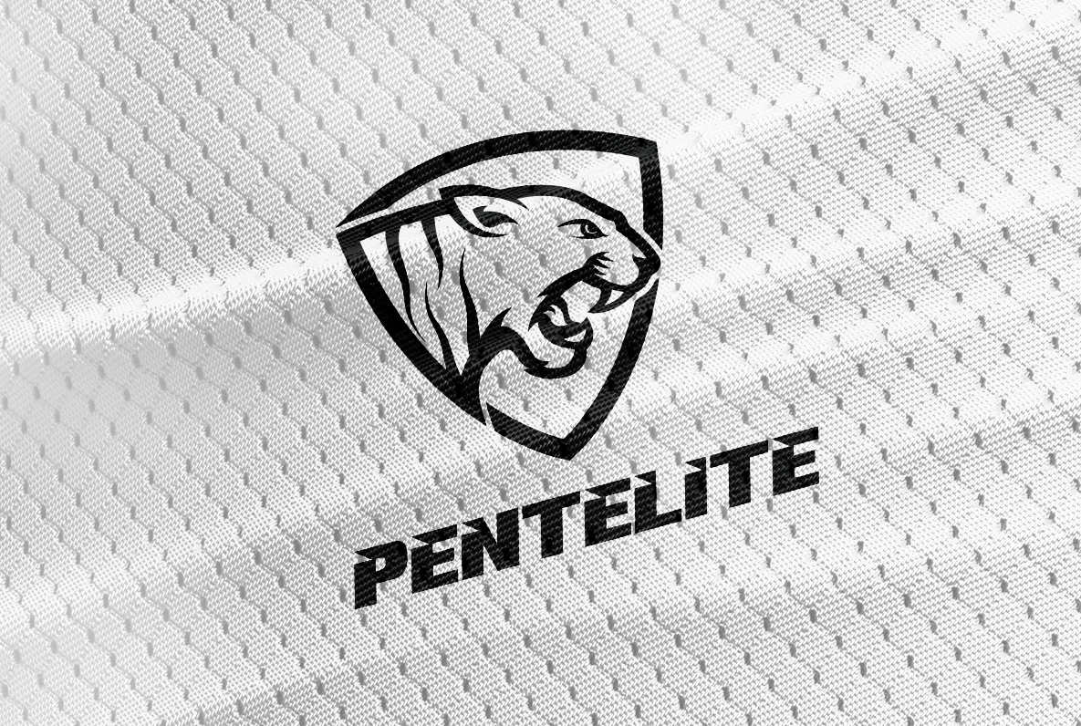 Logo Design by Honey GD for Pentelite | Design #18242201
